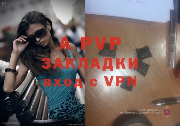 spice Зеленокумск